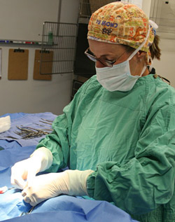Surgery Surgery