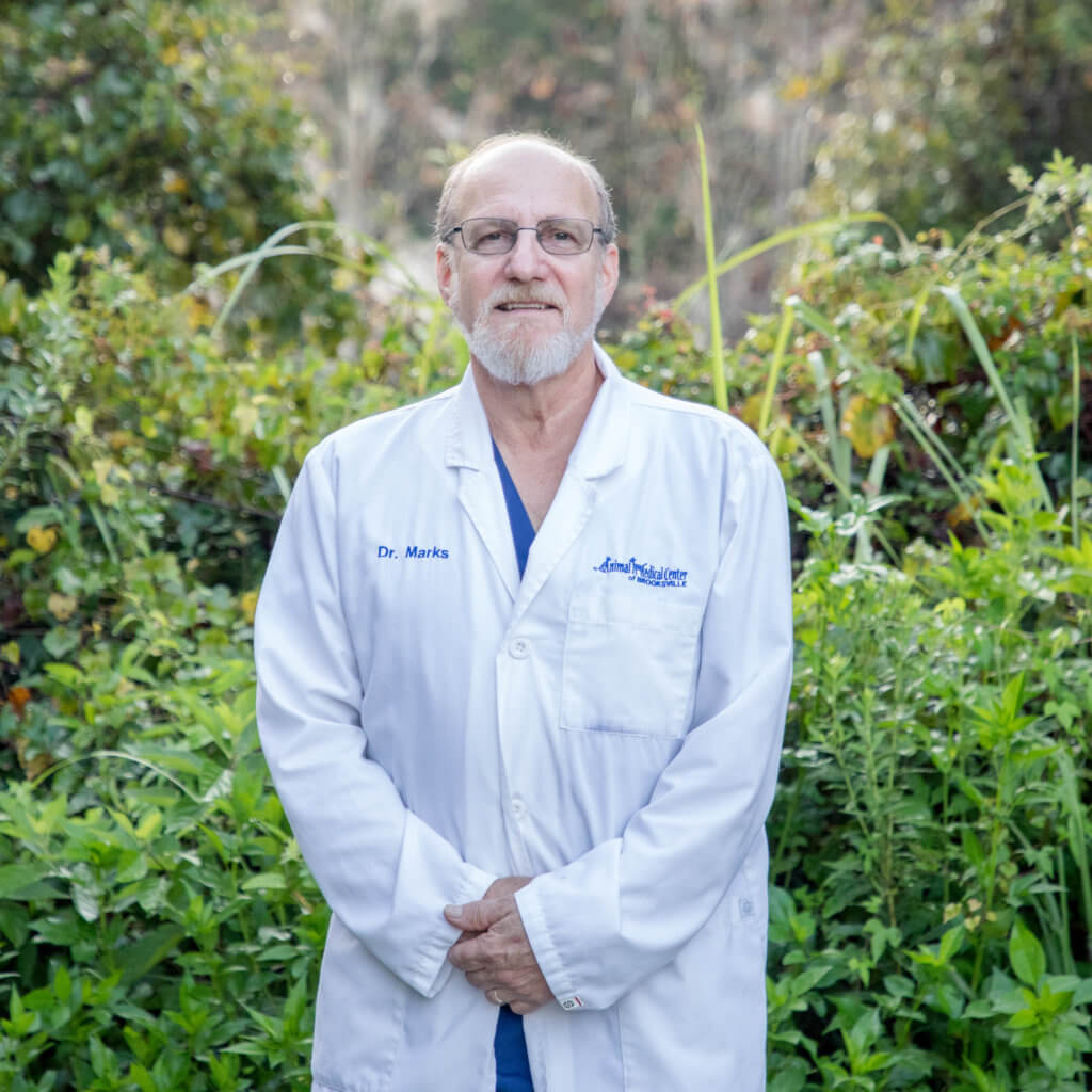 Mike Marks, DVM Animal Medical Center of Brooksville