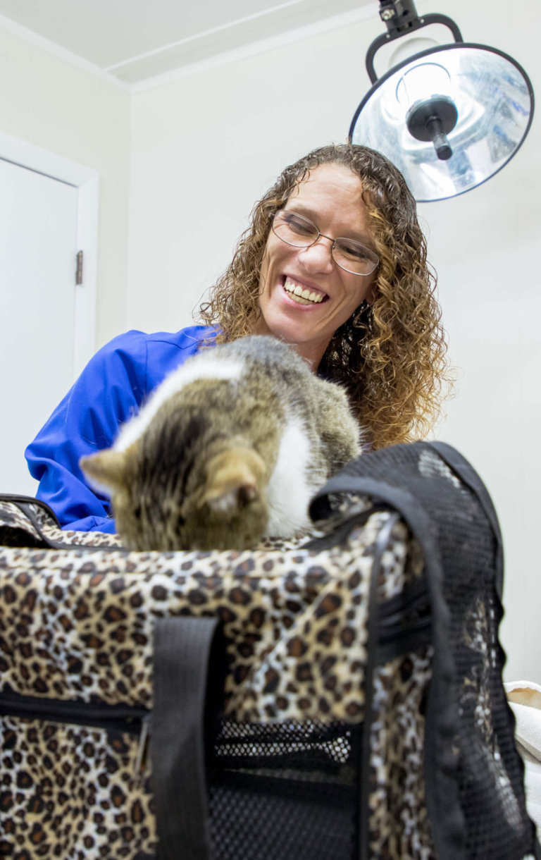 Services Animal Medical Center of Brooksville