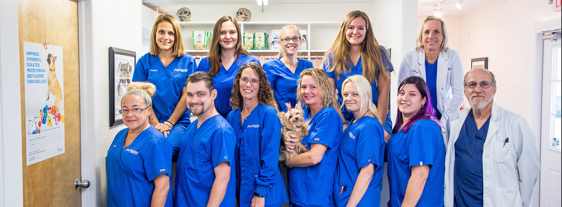 Professional and loving care for your pets - Animal Medical Center of  Brooksville