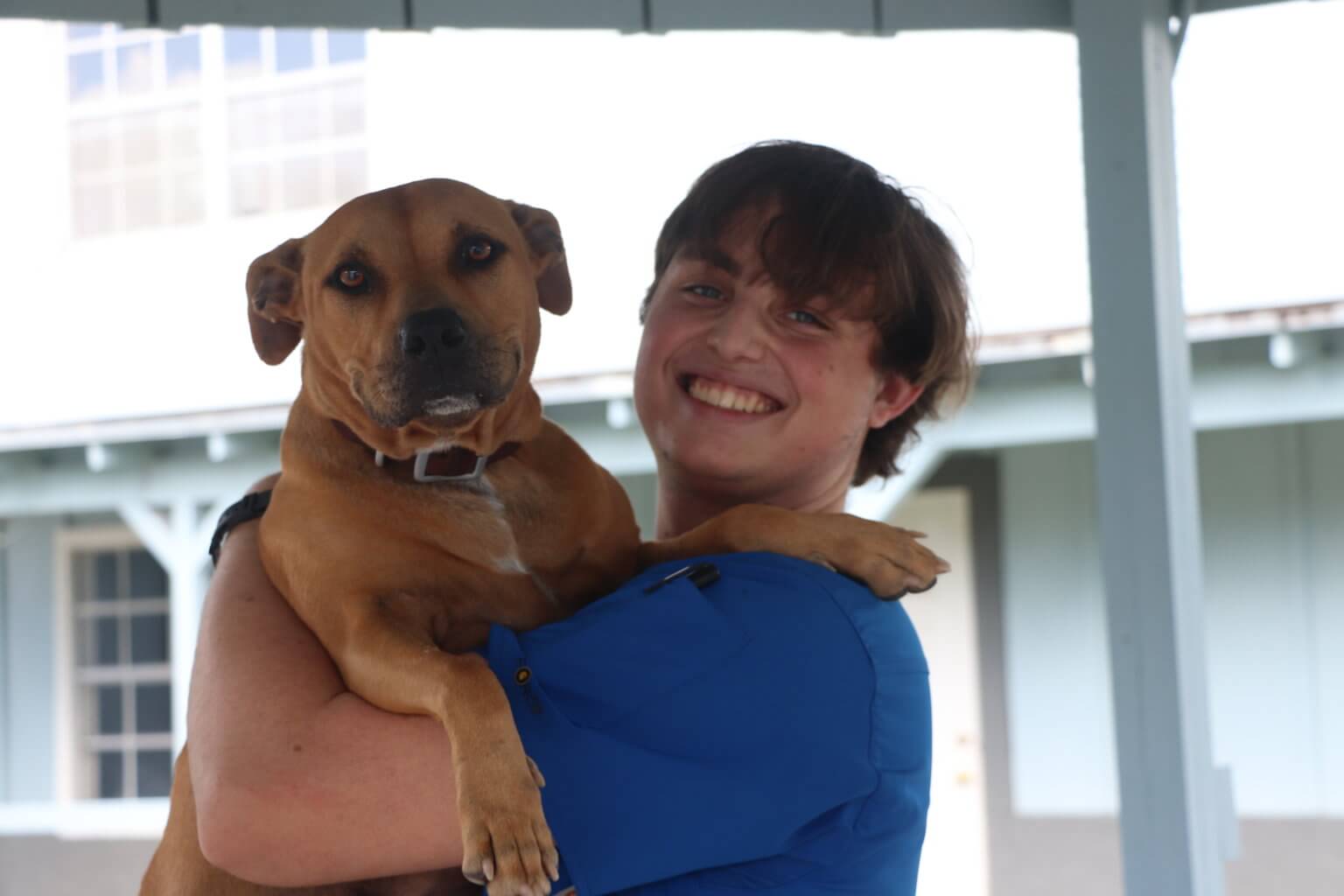 Hayden Miller Animal Medical Center of Brooksville